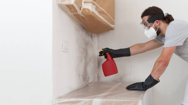 Professional Basement Mold Remediation technician working in Lake Worth, TX