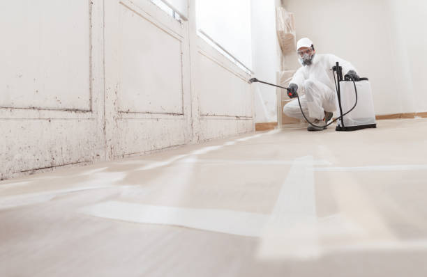24/7 Emergency Basement Mold Remediation experts in Lake Worth, TX