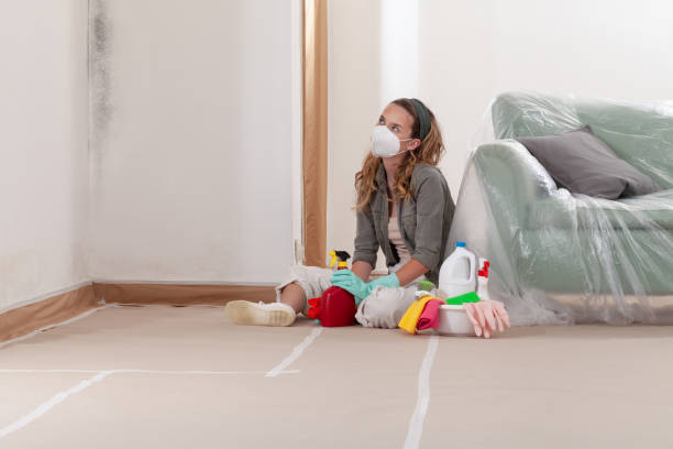 Reliable Basement Mold Remediation contractor in Lake Worth, TX by WQB Mold Removal